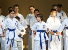 Pokaz Karate