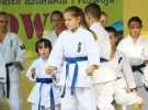 Pokaz Karate