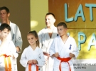 Pokaz Karate