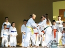 Pokaz Karate