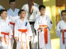 Pokaz Karate