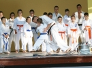 Pokaz Karate