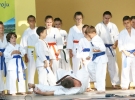 Pokaz Karate