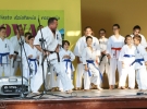 Pokaz Karate