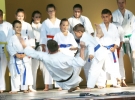 Pokaz Karate