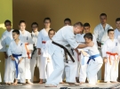 Pokaz Karate