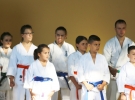 Pokaz Karate