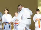 Pokaz Karate