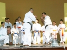 Pokaz Karate