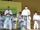 Pokaz Karate