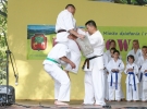 Pokaz Karate