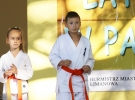 Pokaz Karate