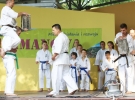 Pokaz Karate