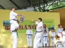 Pokaz Karate