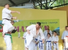 Pokaz Karate