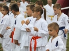 Pokaz Karate Pisarzowa