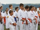 Pokaz Karate Pisarzowa