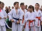 Pokaz Karate Pisarzowa