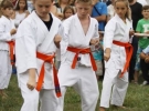 Pokaz Karate Pisarzowa