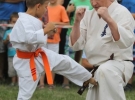 Pokaz Karate Pisarzowa