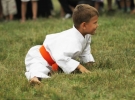 Pokaz Karate Pisarzowa