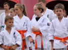 Pokaz Karate Pisarzowa