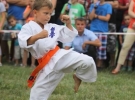 Pokaz Karate Pisarzowa