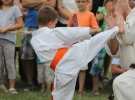 Pokaz Karate Pisarzowa