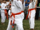 Pokaz Karate Pisarzowa