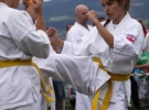 Pokaz Karate Pisarzowa
