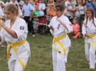 Pokaz Karate Pisarzowa