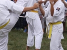 Pokaz Karate Pisarzowa