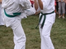 Pokaz Karate Pisarzowa