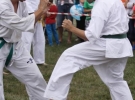 Pokaz Karate Pisarzowa
