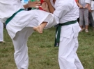 Pokaz Karate Pisarzowa
