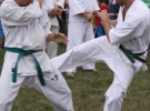 Pokaz Karate Pisarzowa