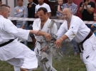 Pokaz Karate Pisarzowa