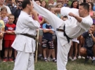 Pokaz Karate Pisarzowa
