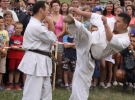 Pokaz Karate Pisarzowa