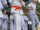 Dni Limanowej