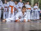 Dni Limanowej