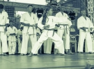 Dni Limanowej