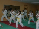 Egzamin Karate