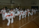 Egzamin Karate