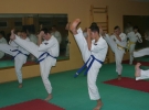 Egzamin Karate