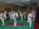 Egzamin Karate
