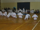 Egzamin Karate