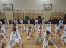 49533982_271959480140431_3530396738592440320_n