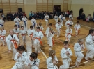49781334_2243595705909050_164345751055368192_n