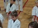 49820760_1971002446536851_6148239692744622080_n